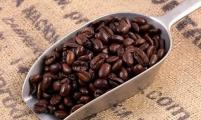 肯尼亚2016年第四季度咖啡收入增加69%
