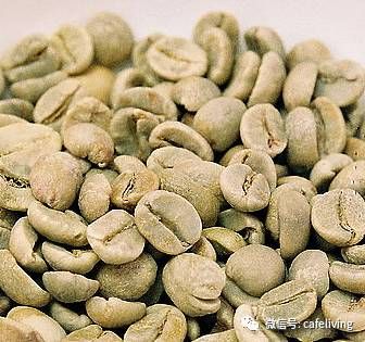 咖啡豆烘培 100℃左右