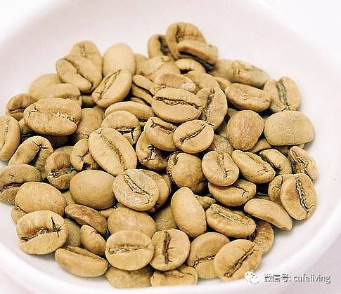 咖啡豆烘培 120℃-150℃