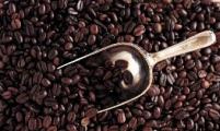喀麦隆2015-2016咖啡种植季共出口咖啡24500吨