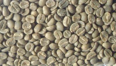 马来西亚白咖啡豆