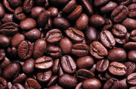越南咖啡出口额快速增长