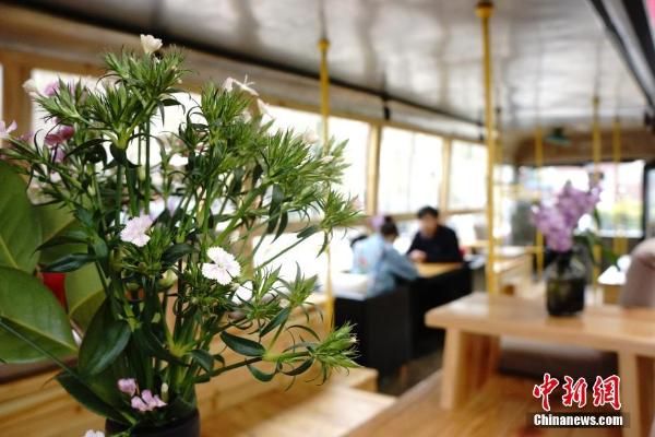景德镇街头现"汽车咖啡馆" 3