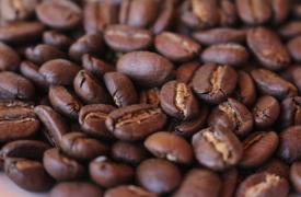 云南普洱咖啡等7品牌入选2016年区域品牌价值百强榜