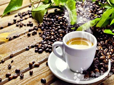 咖啡与茶产业五大发展趋势