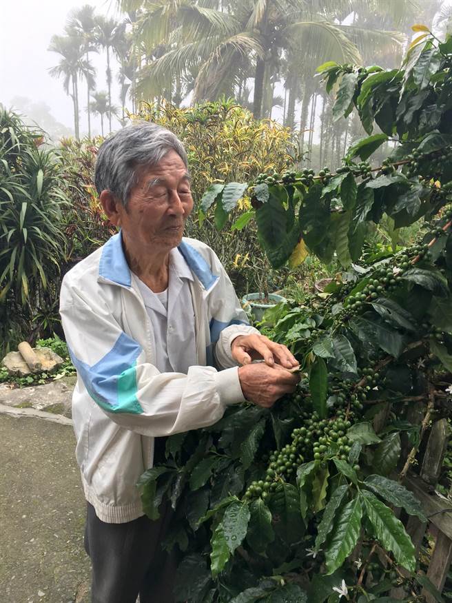 89岁老农刘佳馆 自栽自烘成咖啡达人 2