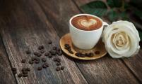 揭秘黑咖啡减肥法的六因素