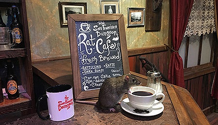 老鼠咖啡厅