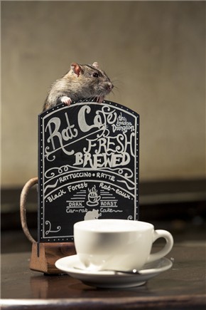 老鼠咖啡厅7