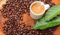 反式脂肪酸含量极低 每天喝100杯咖啡可能才有害