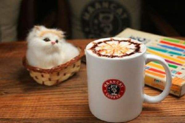 漫猫咖啡