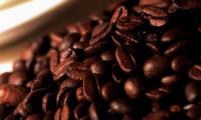 圣多斯咖啡与“咖啡知音”的跨国碰撞