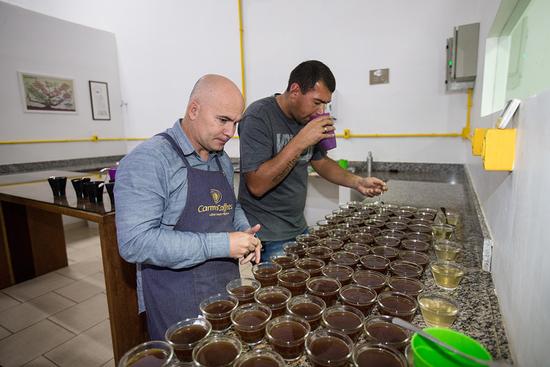 在巴西圣洛伦索，咖啡品鉴师在佩雷拉家族的咖啡推广大厅内品鉴不同种类的咖啡