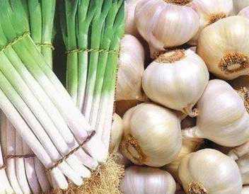 葱蒜味Green onion /Garlic