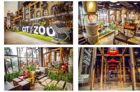 被中资全资收购后 Zoo Coffee能否凭IP势能实现华丽转身？