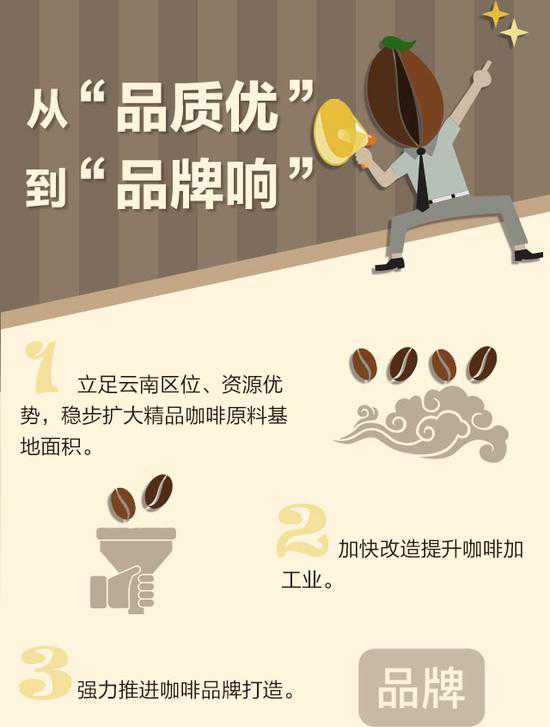 咖啡豆的世界梦 云南研读“一杯咖啡”背后的产业经 2