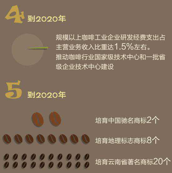 咖啡豆的世界梦 云南研读“一杯咖啡”背后的产业经5