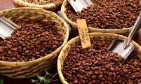 幸鹿咖啡开启全球原产地合作为消费者带来更纯粹庄园味道