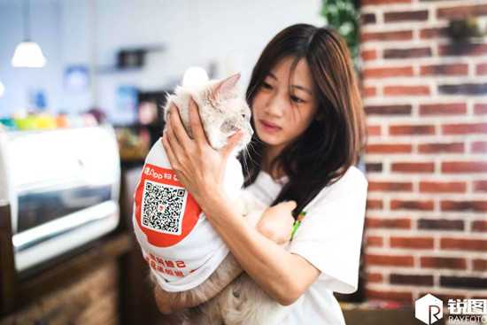 杭州现猫咪服务员咖啡店5