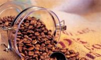 哪种咖啡豆好喝 国外经典咖啡豆推荐
