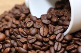 目前国内都有哪些咖啡种植区