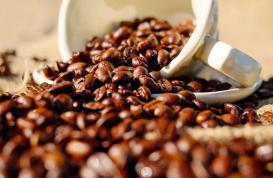加工咖啡豆卖往全国 青岛烘焙渐成咖啡市场重要力量