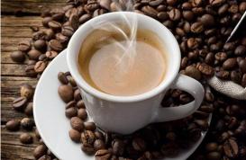 5000元一斤的茶和5000元一斤的“猫屎咖啡”，你更爱哪一个？