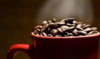 2019年1月厄瓜多尔咖啡及其制成品出口继续呈下降趋势