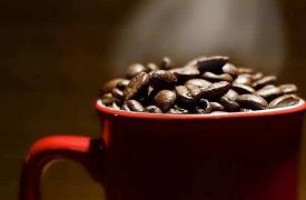 2019年1月厄瓜多尔咖啡及其制成品出口继续呈下降趋势
