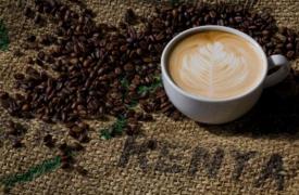 肯尼亚3月咖啡收入同比下降24%