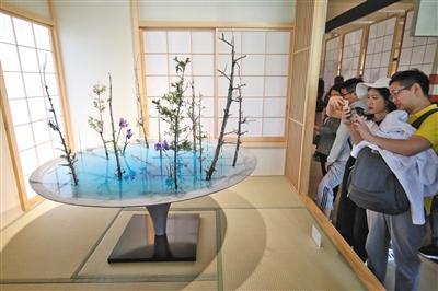 日本园，观众欣赏插花作品