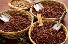 坦桑尼亚咖啡预计减产23%