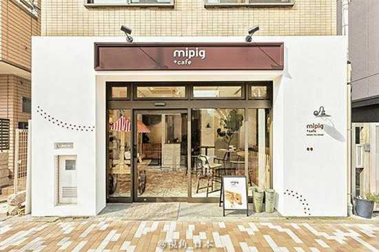 日本推出迷你猪咖啡店
