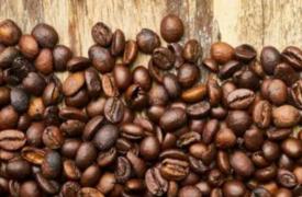 破壁机可以磨咖啡豆吗？