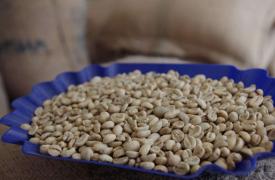 普洱首批“两检一统”咖啡生豆出口乌克兰