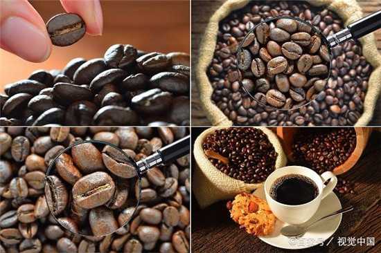 不同烘焙程度下的咖啡豆