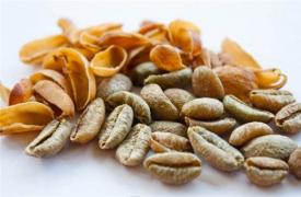 新研究发现咖啡豆壳有助于减轻炎症和胰岛素抵抗