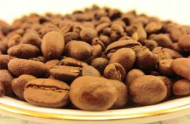 咖啡豆是怎样传播的？