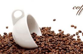 越南发展品牌助推咖啡企业融入世界经济
