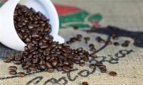 哥斯达黎加咖啡为何受到这么多人的青睐