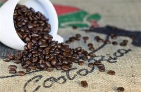哥斯达黎加咖啡为何受到这么多人的青睐