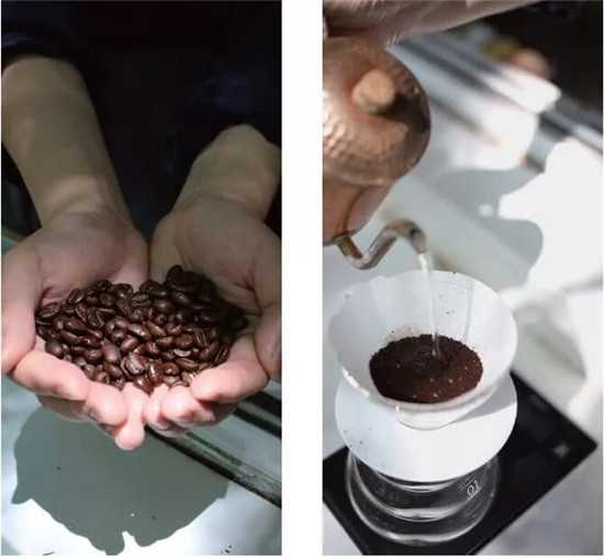 咖啡豆处理