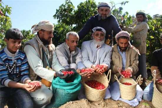11月28日，在也门萨那省，农民展示收获的咖啡豆。