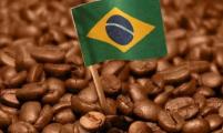 2019年巴西咖啡产量预期下调 库存量减少