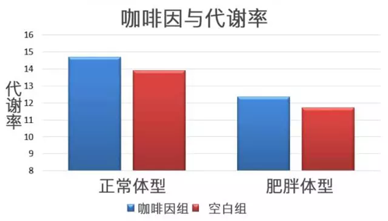 咖啡因和代谢率