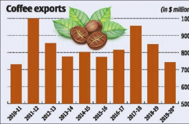 印度咖啡出口金额跌至9年来最低