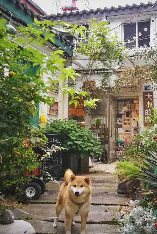 张大水的店铺