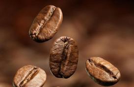 安哥拉主要生产什么咖啡豆？