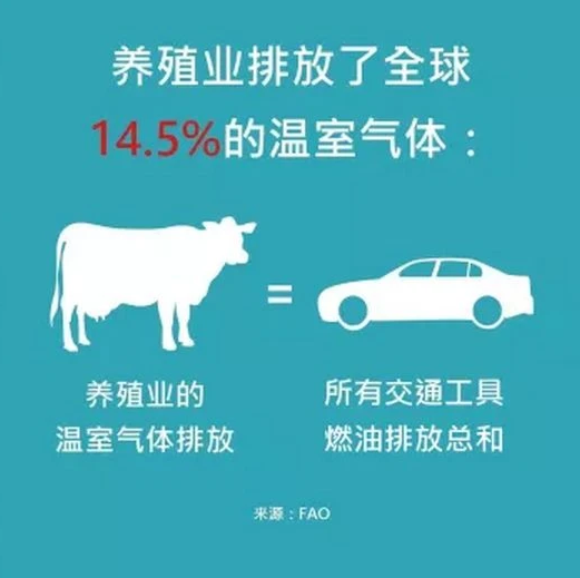 养殖业排放了全球14.5%的温室气体