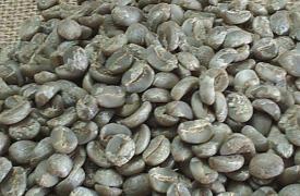 咖啡豆到底是怎样分级的？ 